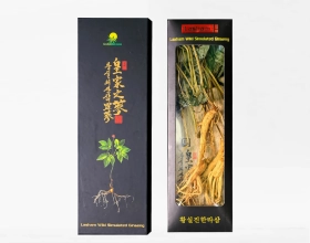 HỘP SÂM NÚI KHÔ NGUYÊN CÂY LASHAM (5 CÂY)